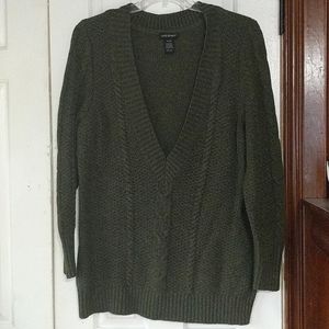Green Lane Bryant Sweater